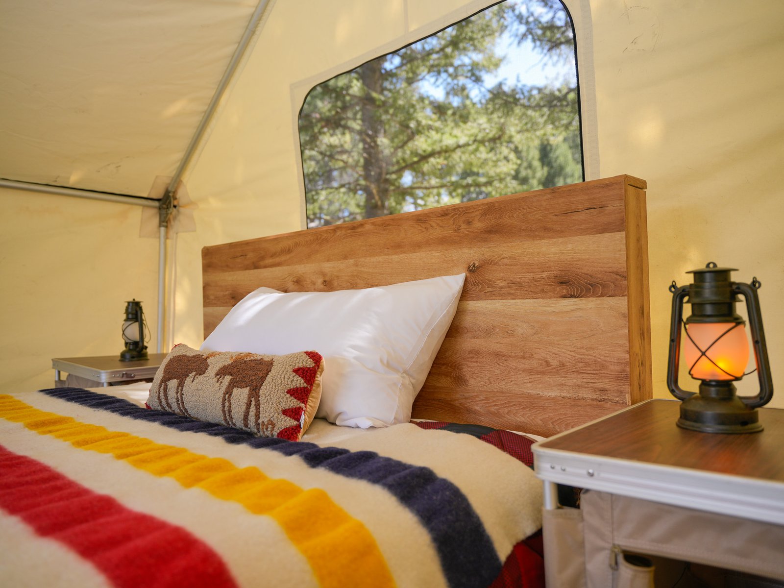 hidden-tent cmm8957.jpg