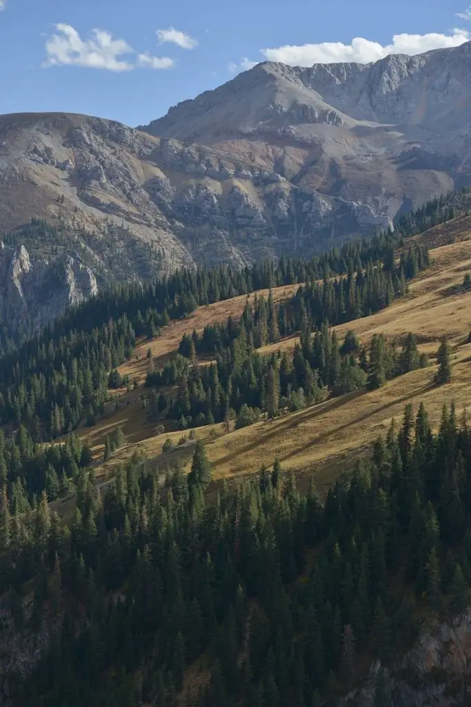 nangchen, kham, tibet, landscape, forest, mountains, nature, fall, qinghai, grassland